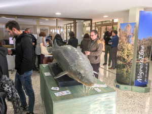 Expo a l'IRTA