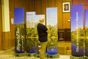 Expo Riba-Roja d'Ebre