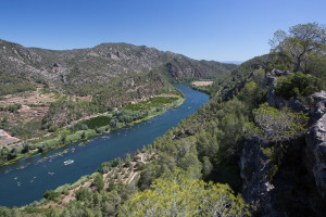 8ª Piraguada popular a l'Ebre