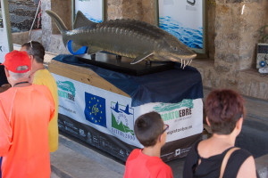 Expo Benifallet
