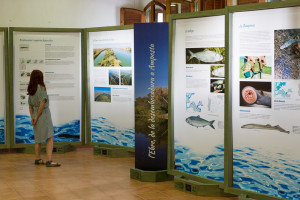 Expo al Pont de Suert