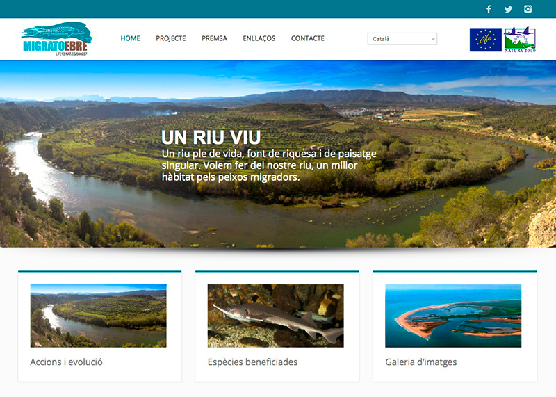 LIFE Migratoebre project has its operational web page