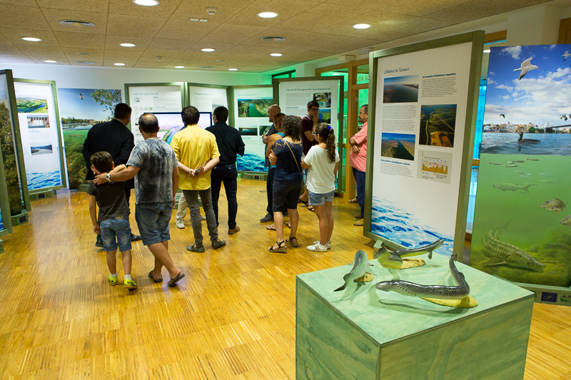 Exhibition at Sant Jaume d’Enveja