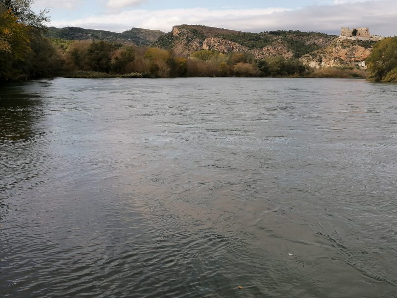 The final stretch of the Ebre river is in good ecological condition in 2020, although it still has some pending subjects
